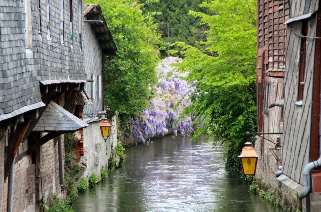 Le Clos Des Hortensias Toutainville Kültér fotó